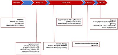 Case report: Incidental MALT lymphoma of the left adrenal gland mimicking a metastatic spread within durvalumab maintenance treatment in inoperable stage III non-small cell lung cancer